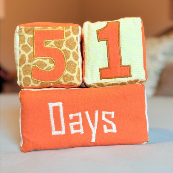 Large Baby Milestone Blocks - Picture 5 of 5